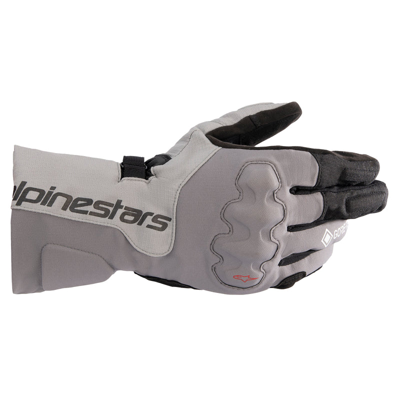 Alpine Wr-X Gore-Tex Gloves D/Grey Ice Grey/Blk